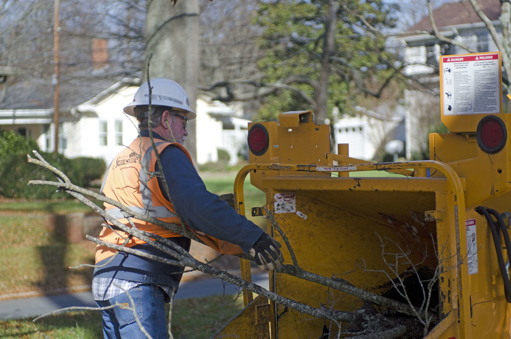Tree removal